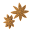 Star Anise