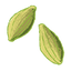 Cardamom