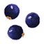 Blackcurrant