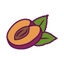 Plum
