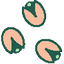 Pistachio polly