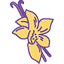 Vanilla polly