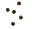 Timur Pepper