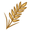 Hay