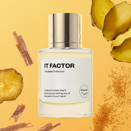 IT Factor - featured second