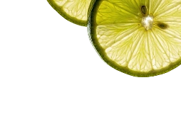 Viral fragrance brand
