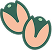 Pistachio polly