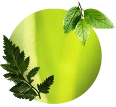 Familia de Fragancias - Herbal