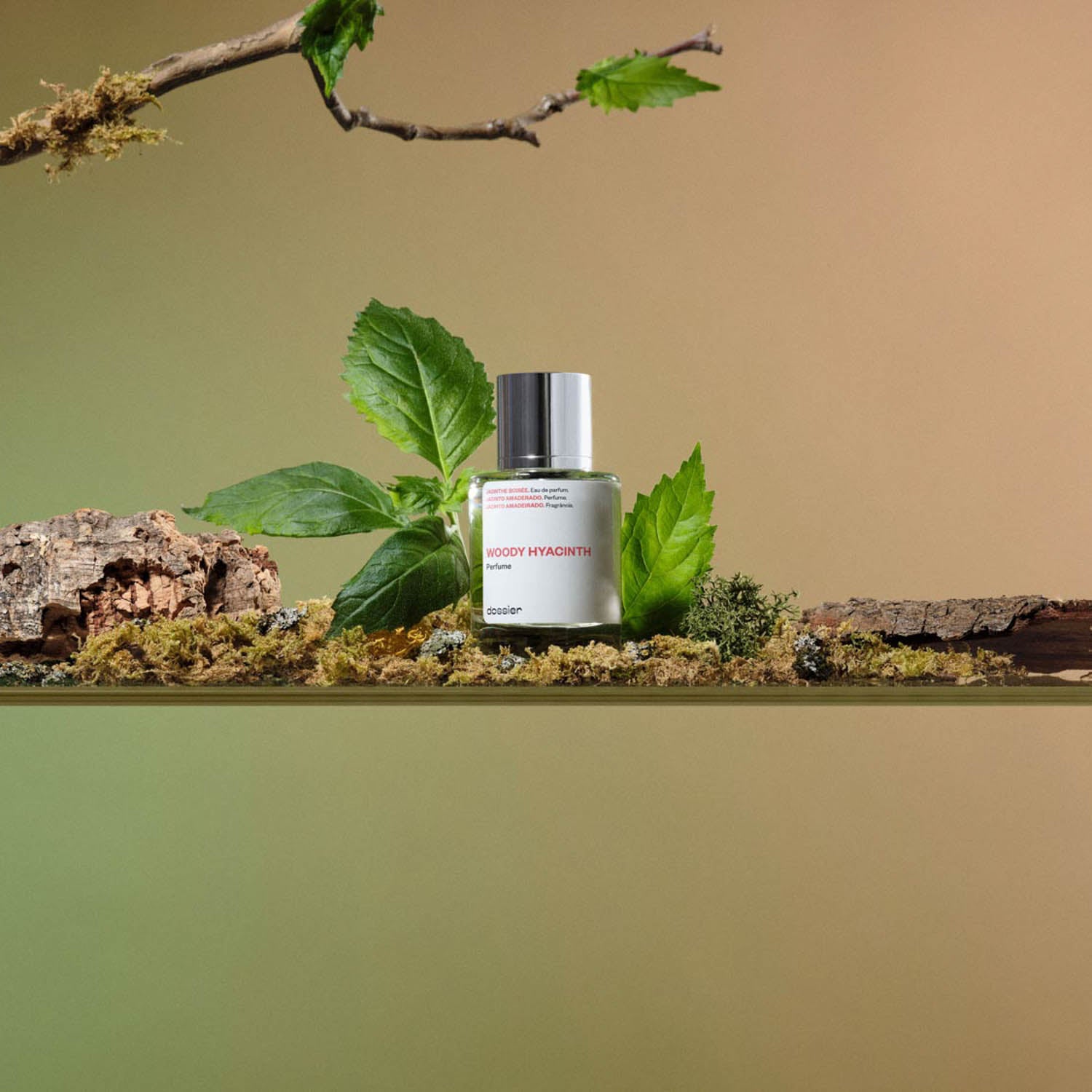 Chanel Eau Tendre Dupe Perfume Dupe Chanel Chance Eau Fraiche Vs